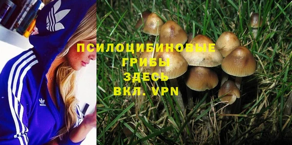 дживик Мегион