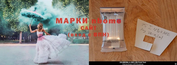 индика Алексеевка